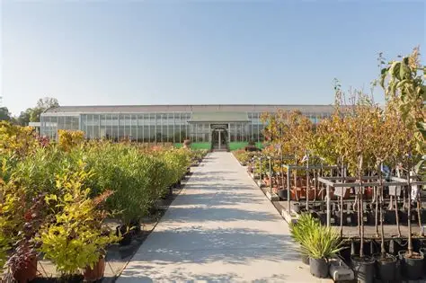 Empresa de viveros en el área metropolitana de Valencia